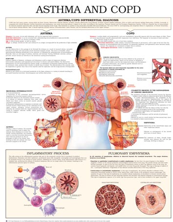 Asthma-and-COPD