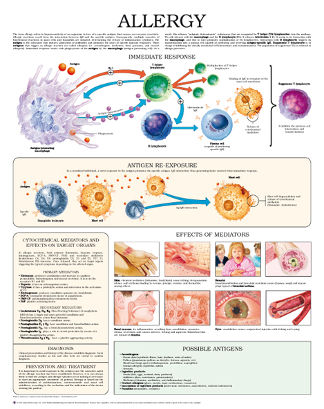 Allergy