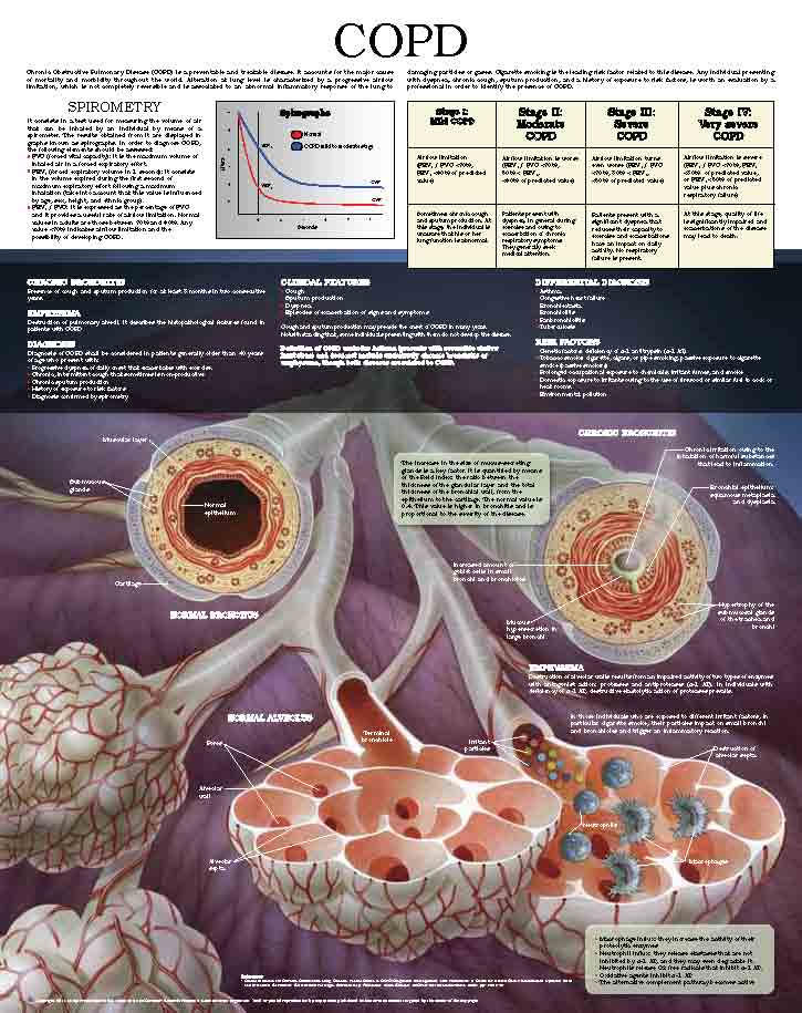 Chronic-Obstructive-Pulmonary-Disease-COPD-2