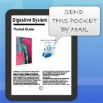 Digestive-System-Medical-Library