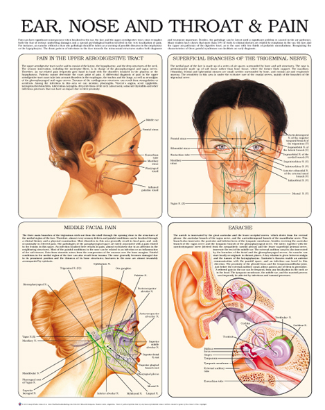 Ear-nose-and-throat-pain-1