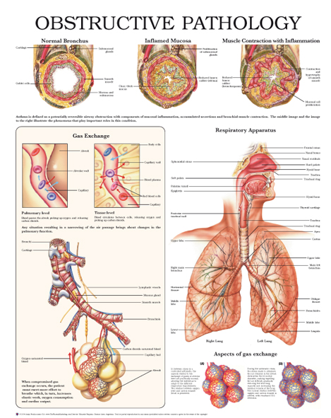 Obstructive-pathology