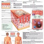 Psoriasis