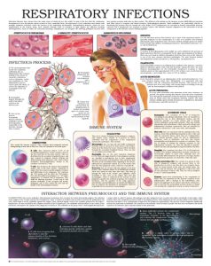 Respiratory-infections