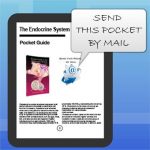 The-endocrine-system-Medical-Library