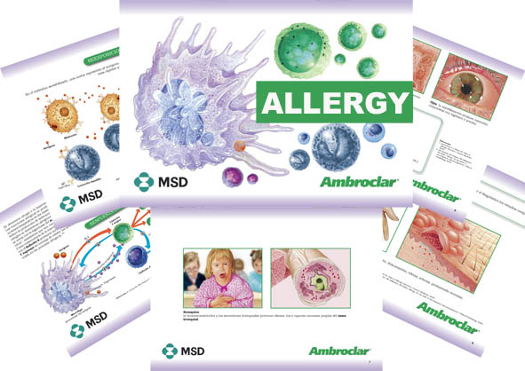 allergy-ambroclar-MSD