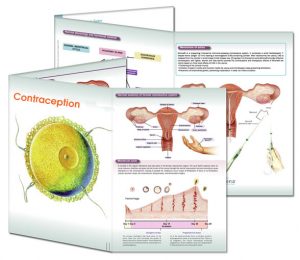 Contraceptives - GABB Healthcare